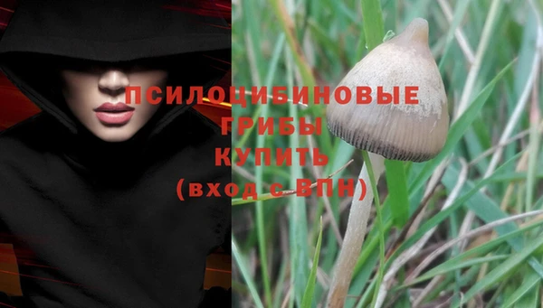 ПСИЛОЦИБИНОВЫЕ ГРИБЫ Снежинск