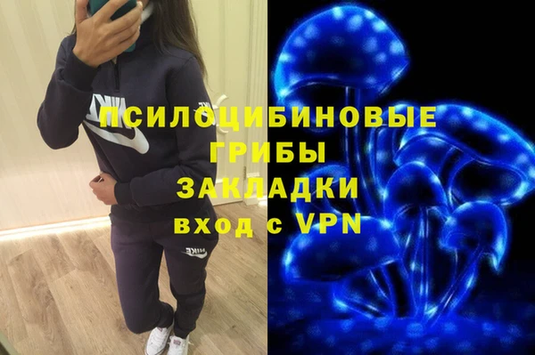 ПСИЛОЦИБИНОВЫЕ ГРИБЫ Снежинск