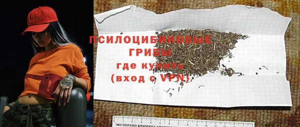 ПСИЛОЦИБИНОВЫЕ ГРИБЫ Снежинск