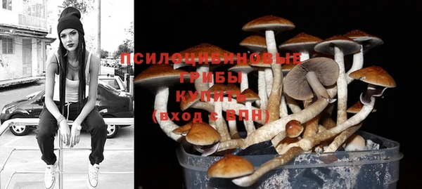 ПСИЛОЦИБИНОВЫЕ ГРИБЫ Снежинск