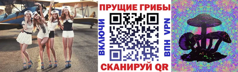 МЕГА вход  магазин  наркотиков  Бронницы  Псилоцибиновые грибы GOLDEN TEACHER 
